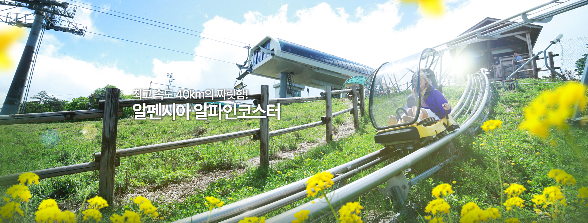 해당파일이미지