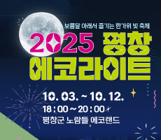 
                             2025 평창 한가위 빛 축제 및 평창시티투어 알펜시아 리조트 왕복 특별 셔틀 운행