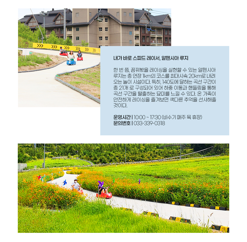 알펜시아 루지 이미지